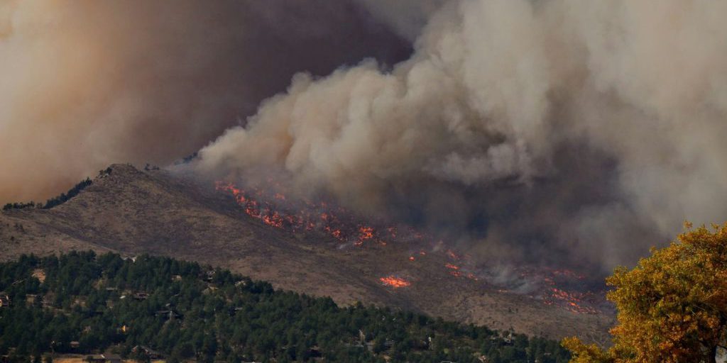 Incendi boschivi in Italia: aumento allarmante delle aree bruciate nel 2025