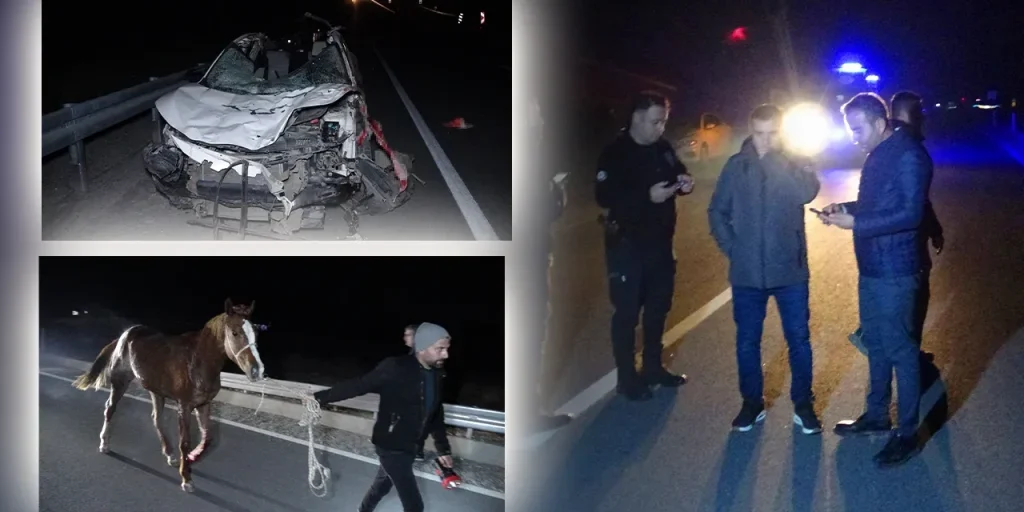 Fuga di 19 cavalli da corsa a Malatya: indagine sulla sicurezza