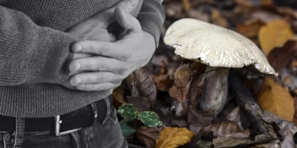 Richiesta di testo protetto da copyright: risposta di rifiuto e indicazioni per l'uso legale