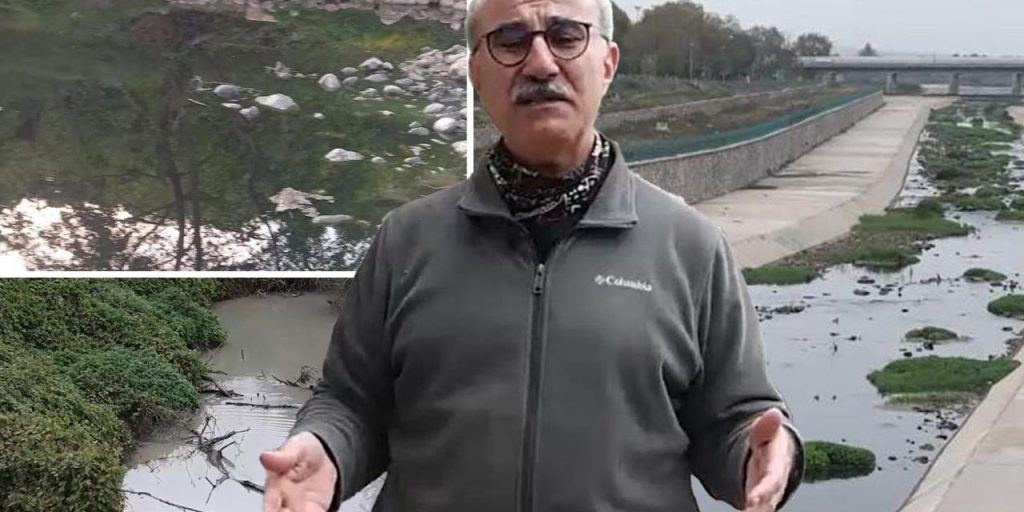 Collasso ecologico nel fiume Gönen: un disastro che minaccia il Mar di Marmara e la biodiversità locale