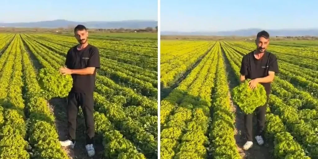 Agricoltore di Bergama respinge offerta di 2 lira per pelo di caprone: video virale e procedimento per stalking