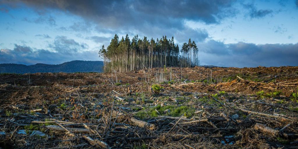 Cambiamento climatico in Italia: un aumento allarmante dei decessi e delle sfide per il futuro