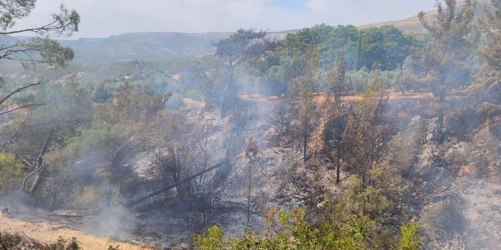 Incendio fatale a Mersin: la perdita di controllo del fuoco per bruciare erbacce causa la morte di un uomo