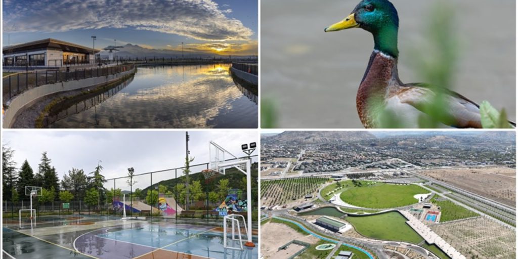Giardini Pubblici in Affitto: il Ministero dell'Ambiente Interviene per Migliorare la Manutenzione