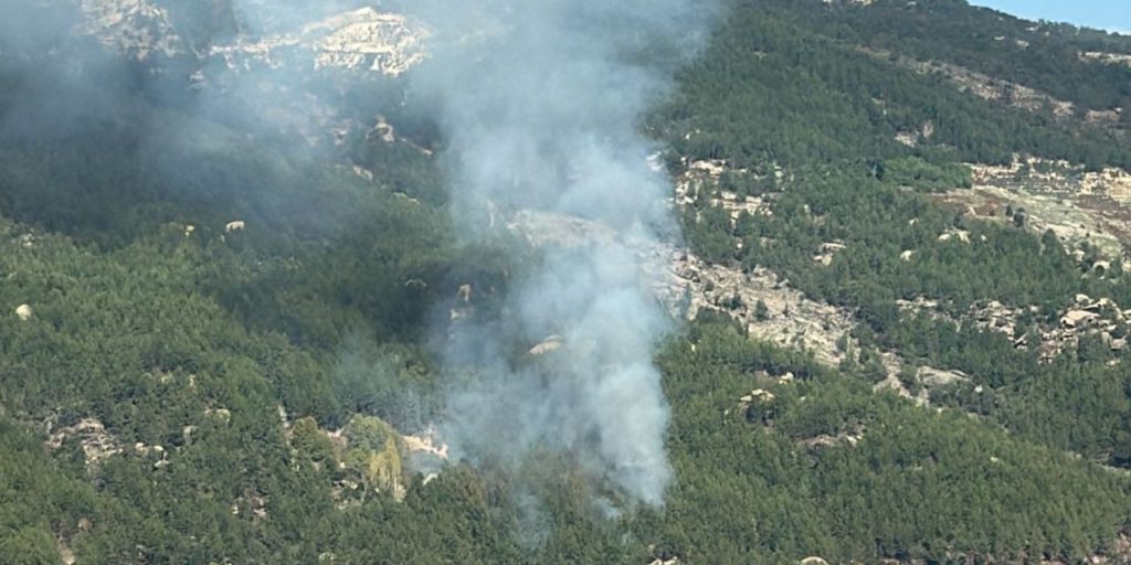 Incendio boschivo a Muğla: le fiamme sotto controllo grazie a rapida operazione di spegnimento