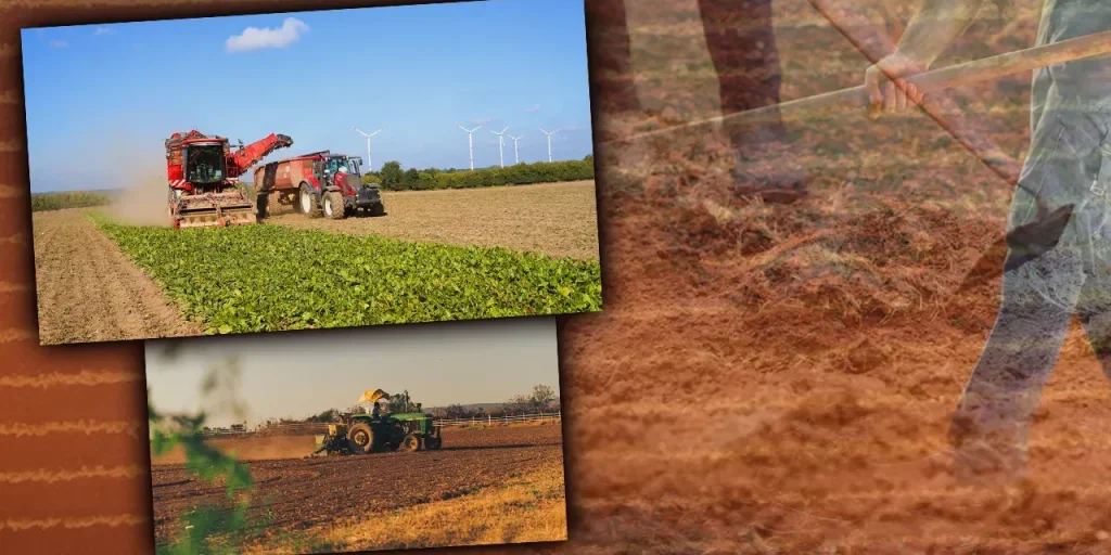 Contadini di Kırklareli affrontano infestazione di topi di campo: uso di esche velenose consigliato