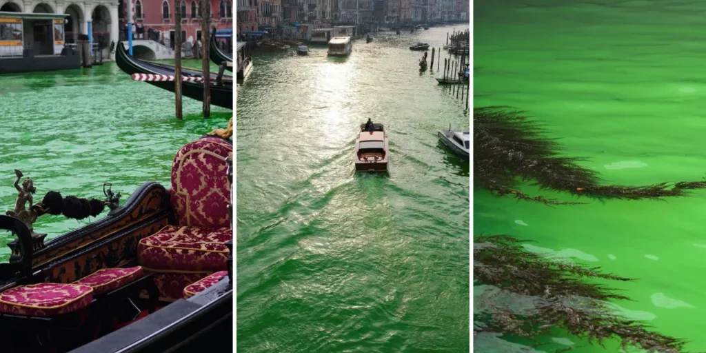 Venezia: attivisti per il clima esclusi dalla città dopo aver dipinto il Canal Grande di verde