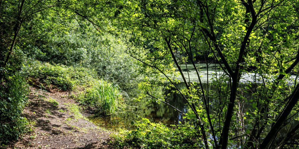 Scoperta sensazionale in un fiume della Renania Settentrionale-Vestfalia: un animale esotico fa tappa inaspettata
