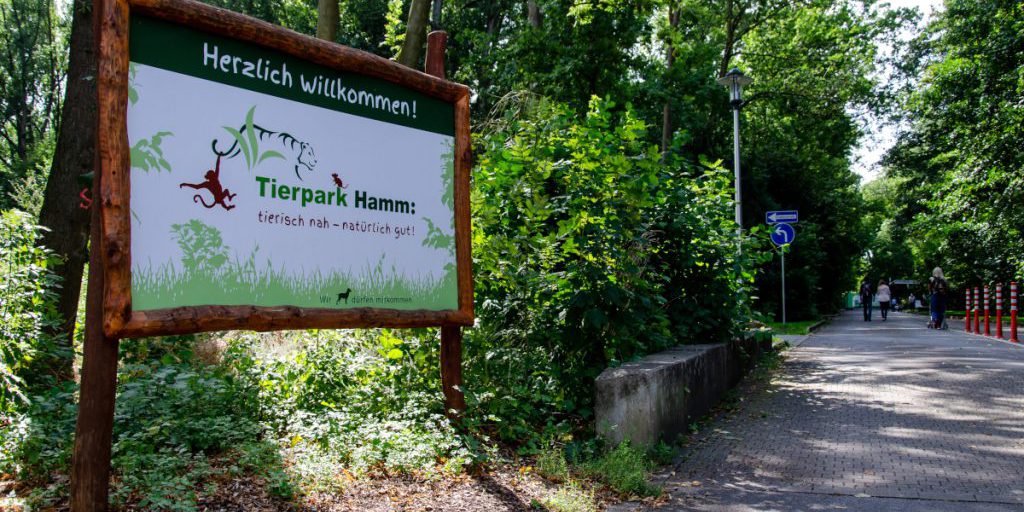 NRW-Zoo erlebt traurige Szenen – für ein Tier brach die Welt zusammen