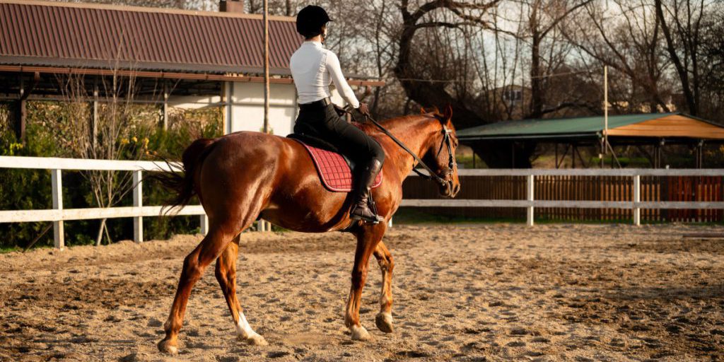 Jacqueline, 23 anni, desidera l'ultima cavalcata sul suo cavallo Prinz