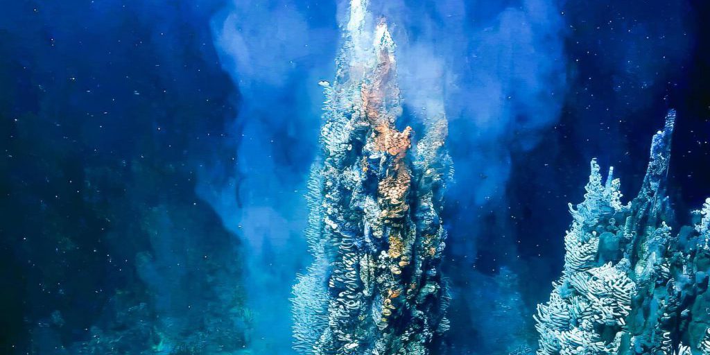 Gli oceani si oscurano: la riduzione dello spazio vitale degli organismi marini e le sue conseguenze sulla biodiversità marina