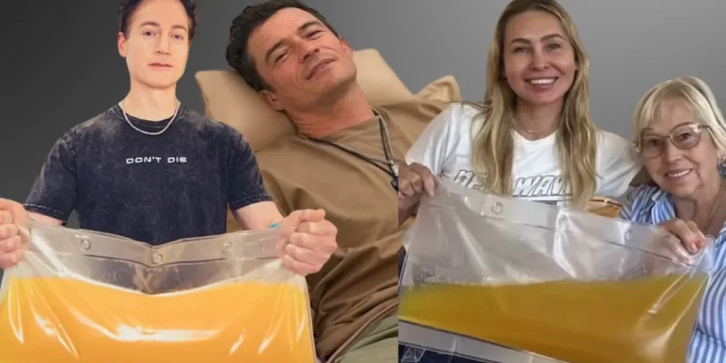 Plasmapheresi: nuovo metodo costoso per eliminare microplastiche dal sangue