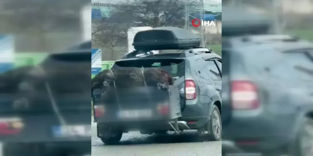 Richiesta di invio del testo originale per la traduzione