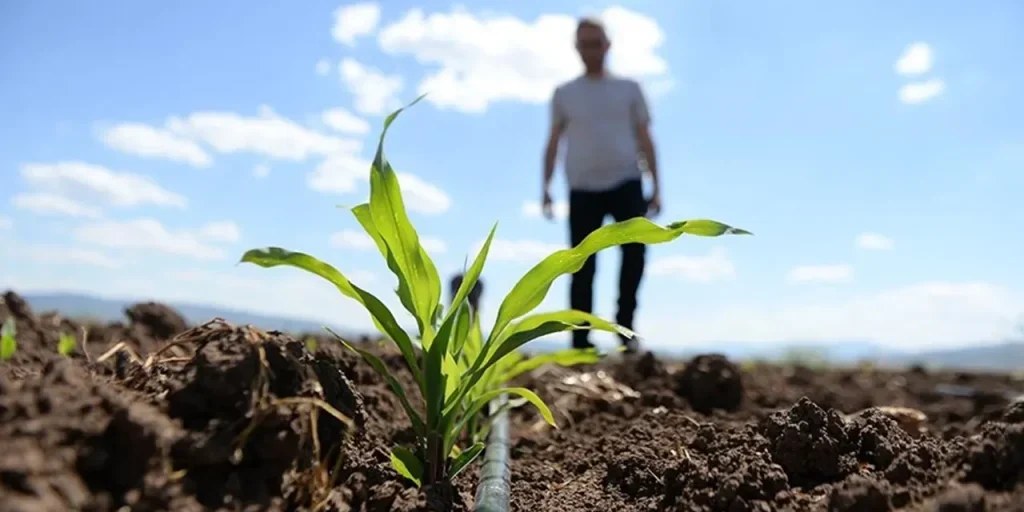 Aumento della produzione biologica supera 1,3 milioni di tonnellate grazie a nuovi fondi ministeriali