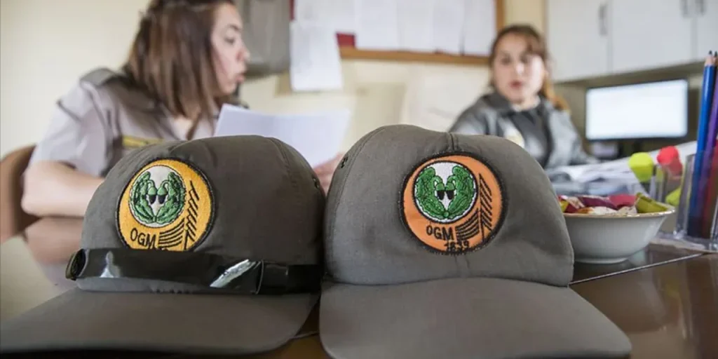 Ministero dell'Agricoltura e della Foresta annuncia 496 assunzioni a termine per la Direzione Generale delle Foreste