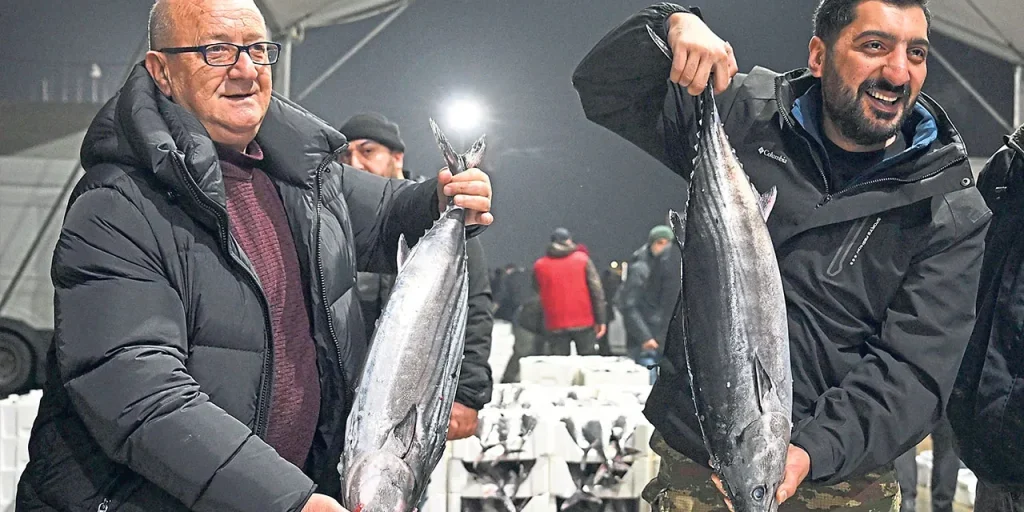 Cattura record di torik nelle acque di Marmara: oltre 500 tonnellate dal gennaio