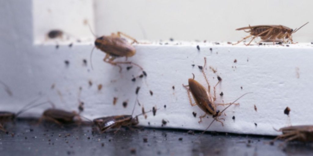 Pes dedirten olay! Hamamböceğini öldürmek isterken apartmanı ateşe verdi