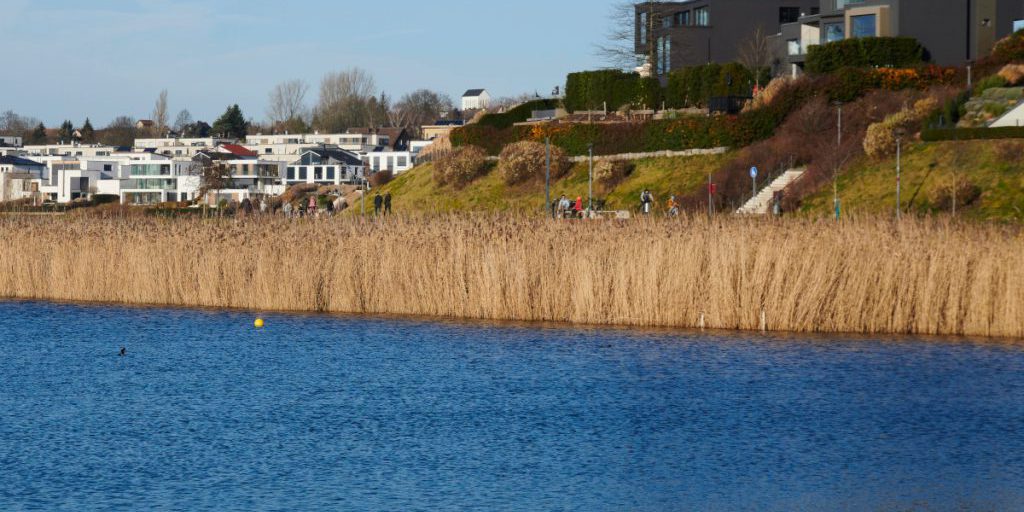 Incidente inaspettato al Phoenix Lake di Dortmund: visitatori testimoniano scena spaventosa