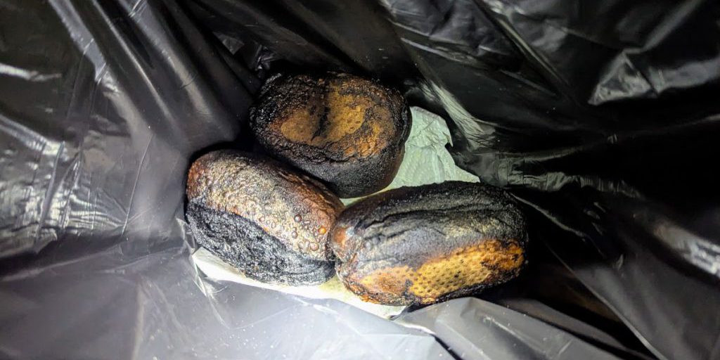 Incendio in Germania causato da un microonde usato per riscaldare panini