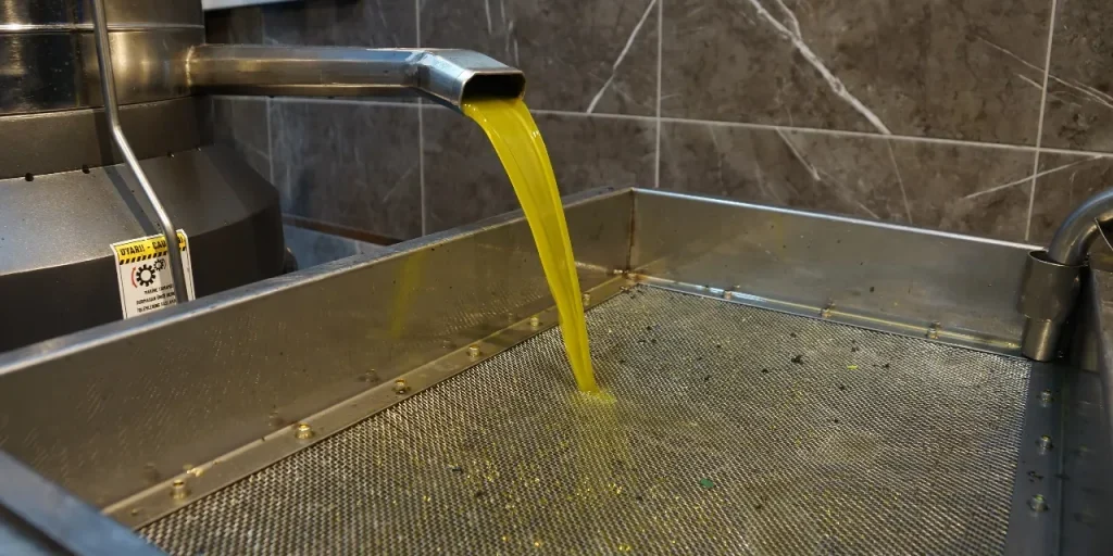 Raccolto di olive in Aydın diminuito provoca aumento dei prezzi dell'olio d'oliva