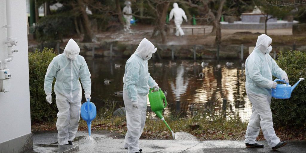 Seuche grassiert im Ruhrgebiet – Tierpark zieht drastische Konsequenzen