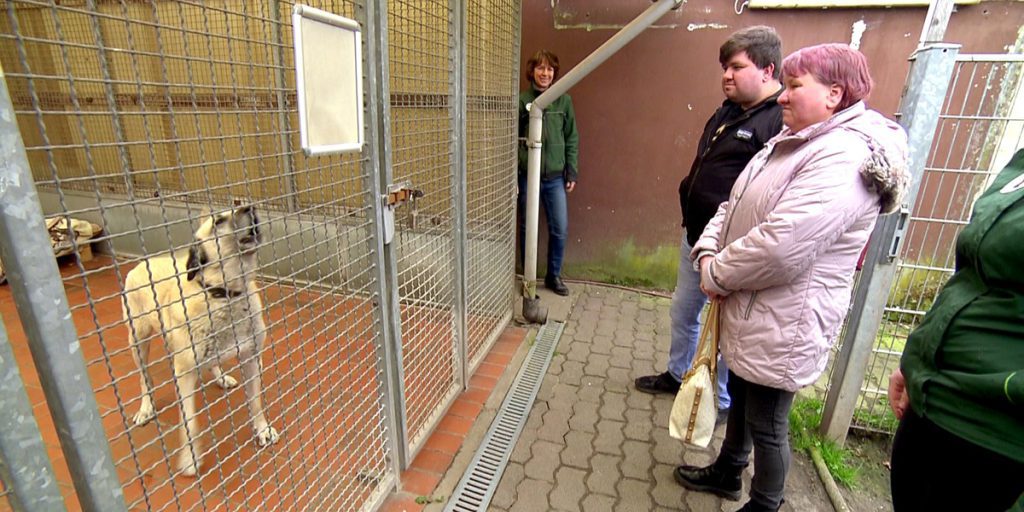 Richiesta di adozione di cane respinta a beneficiari di sussidio: una decisione controversa