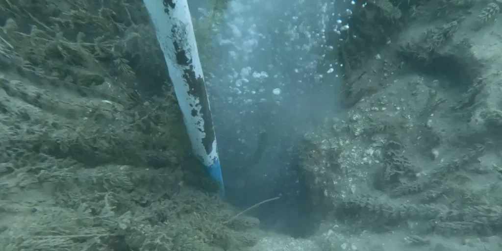 Bolle sul lago di Sapanca: non indicatore di terremoto, ma fuoriuscite naturali di acqua e gas