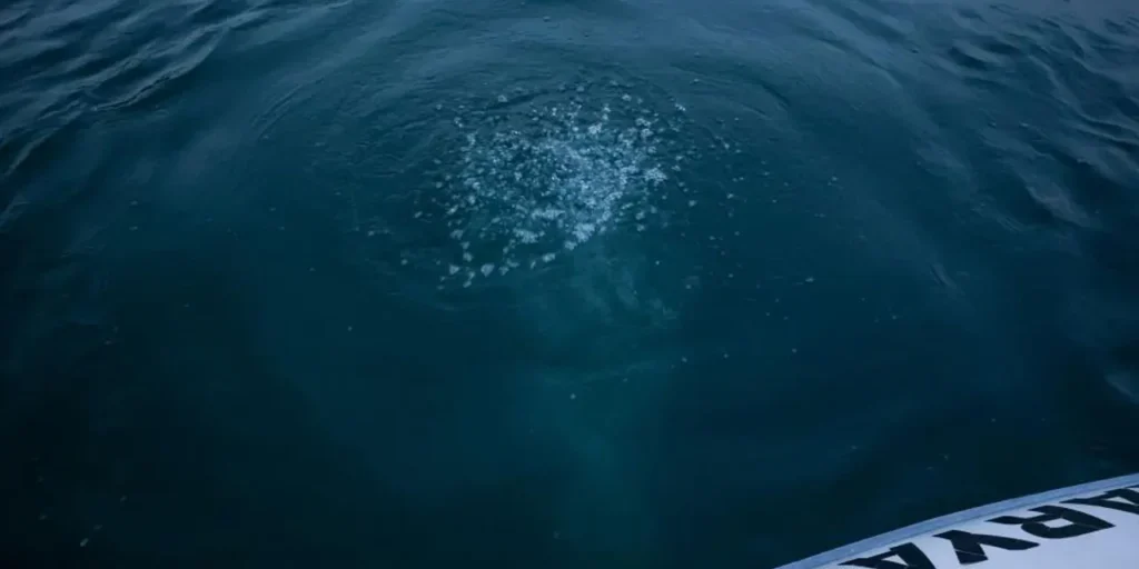 Bollette sul lago Sapanca: autorità confermano sicurezza dell’acqua potabile