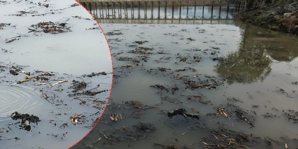 Bollicine misteriose emergono dal fondo dei laghi Sapanca ed Efteni