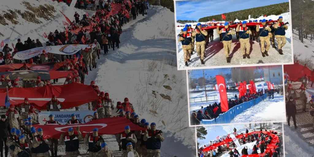 Articolo non ricevuto: richiesta di invio