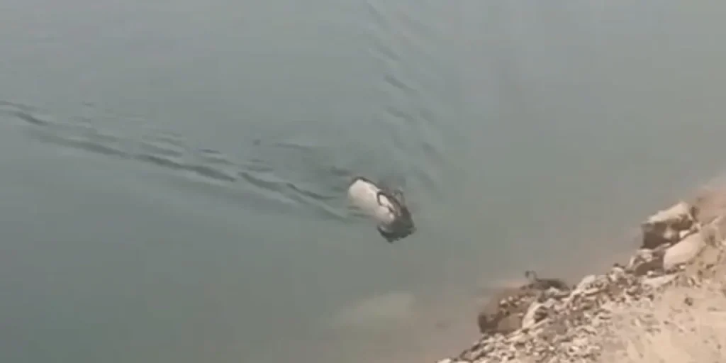 Richiesta del testo completo dell’articolo per procedere con la traduzione e la rielaborazione in HTML