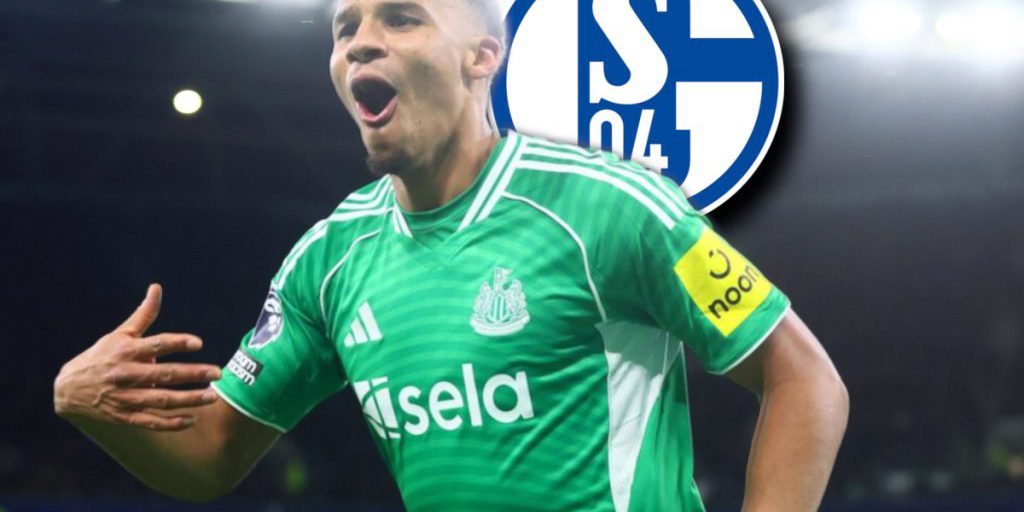 Malick Thiaw, giocatore del Newcastle United, ricorda il suo passato al Schalke 04