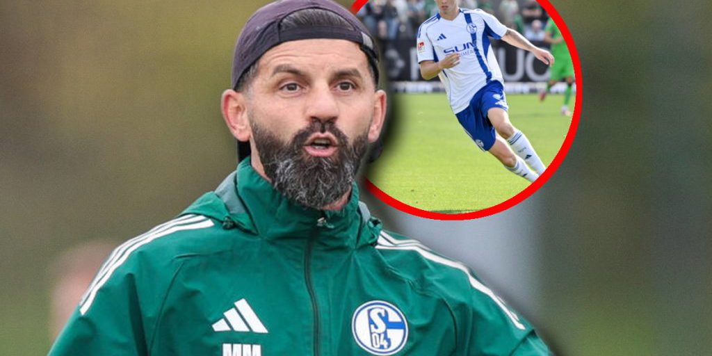 Schalke – Darmstadt: Da staunen auch die Fans! Muslic sorgt für nächste Juwel-Überraschung