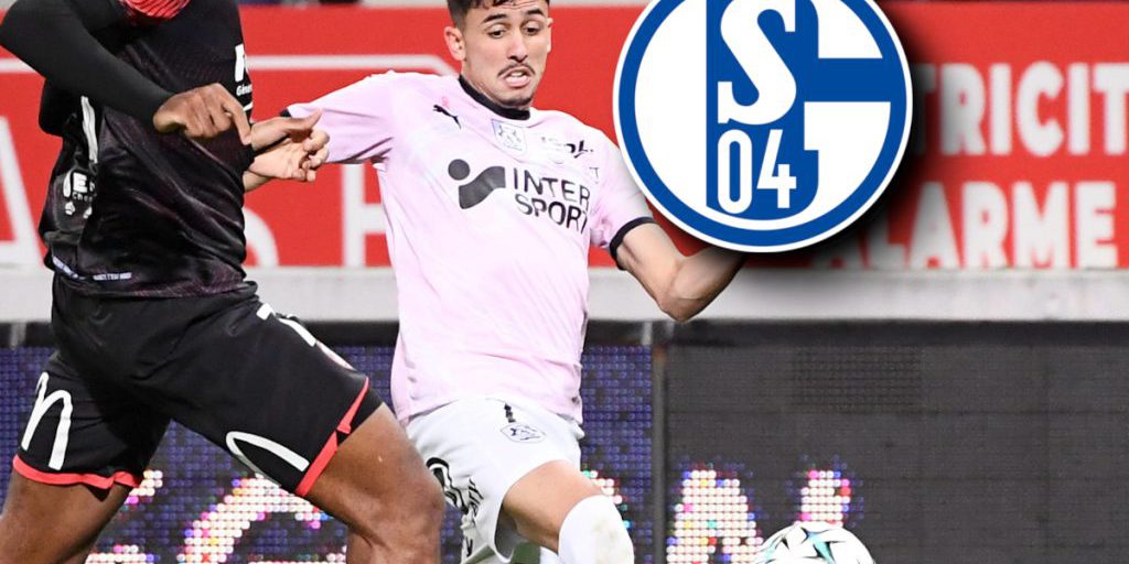 La carriera di Ilyes Hamache: una storia di sfide e opportunità nel mondo del calcio