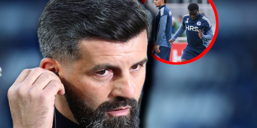 Schalke-Fans warten sehnsüchtig: Jetzt spricht Muslic über ein S04-Juwel