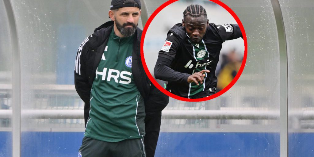 Il Caso Muslic: Come un Trasferimento Fallito Sta Condizionando il Futuro del Schalke