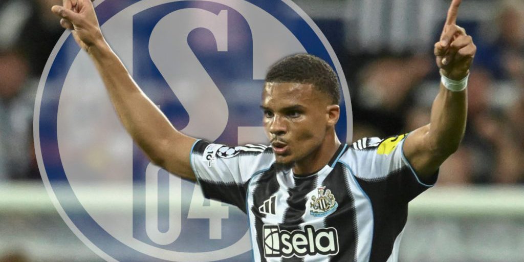 Ex Calciatore del FC Schalke 04 Conquista l'Inghilterra: Storia di Successo e Impatto sul Calcio Tedesco