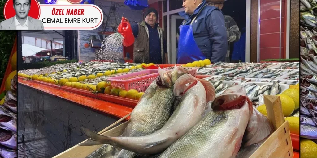 Stagione di pesca 2025‑2026: sardoni in anticipo, cattura ridotta e prezzi in aumento