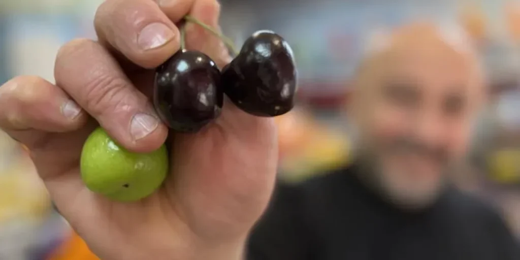 Frutta importata da Singapore a Düzce: prezzi elevati per donne in gravidanza