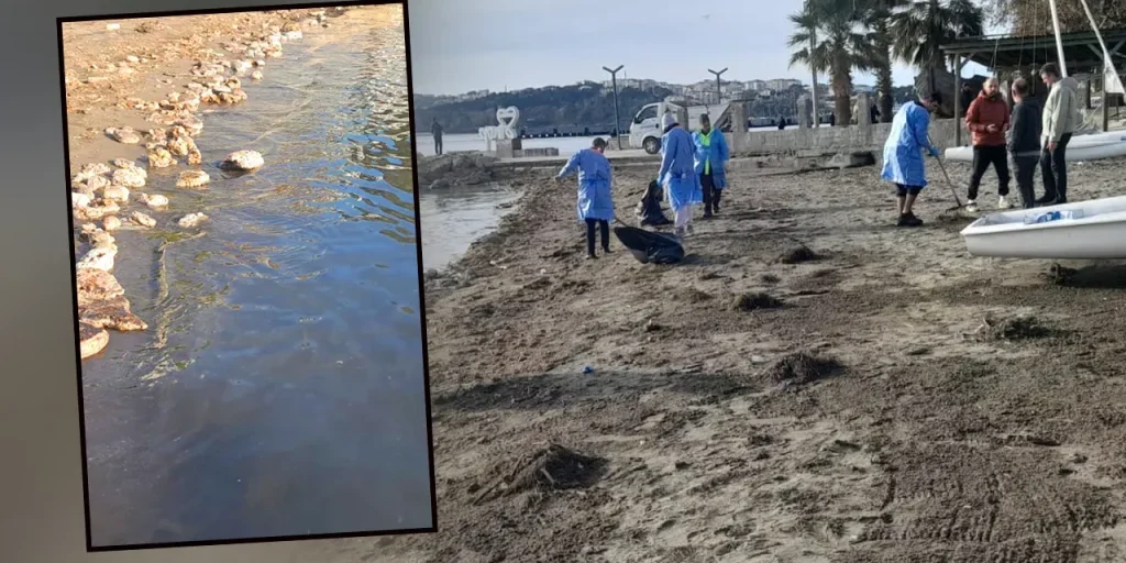 Sinop: allarme per inquinamento costiero, indagine in corso