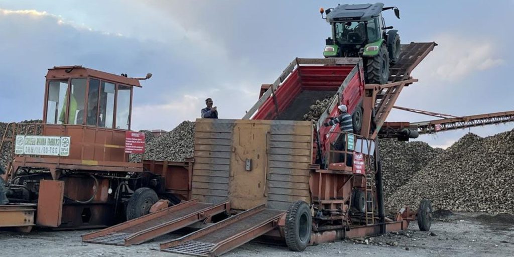 Soğuk gelmeden hasat yarışı! Karslı çiftçiler tarlada gece gündüz mesai yapıyor