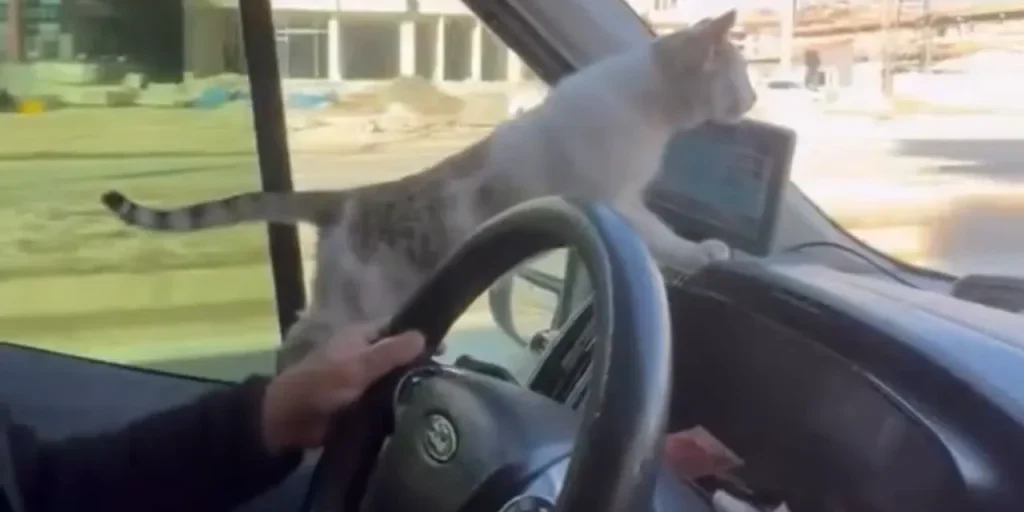 Conducente soccorre ospite tremante per il freddo, gesto applaudito