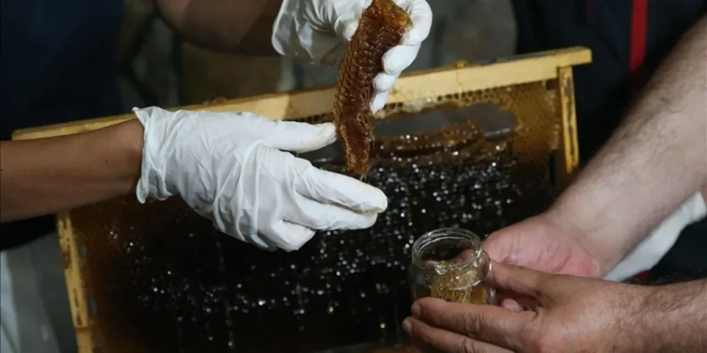 Miele Anzer: 8‑10 tonnellate di produzione, 100 tonnellate di contraffazione, prezzo di 20.000 lira