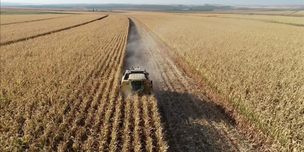 Prezzi agricoli in crescita: Tarım ÜFE salta del 4 % in ottobre