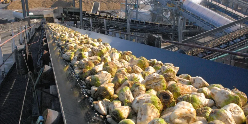 Distruzione di prodotti agricoli non conformi: dichiarazione del Ministro dell'Agricoltura