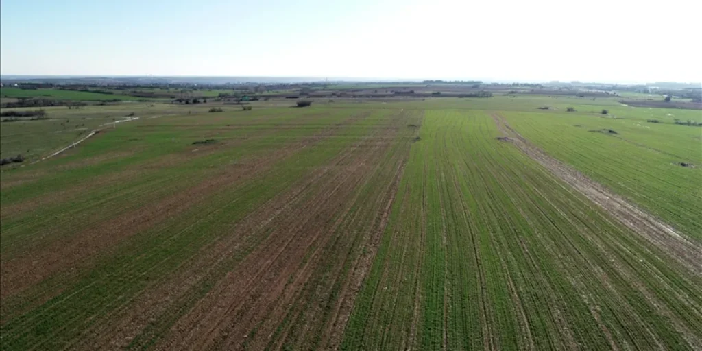 Prezzi delle terre in Turchia: aumento del 930 % in 5 anni, investitori in perdita reale