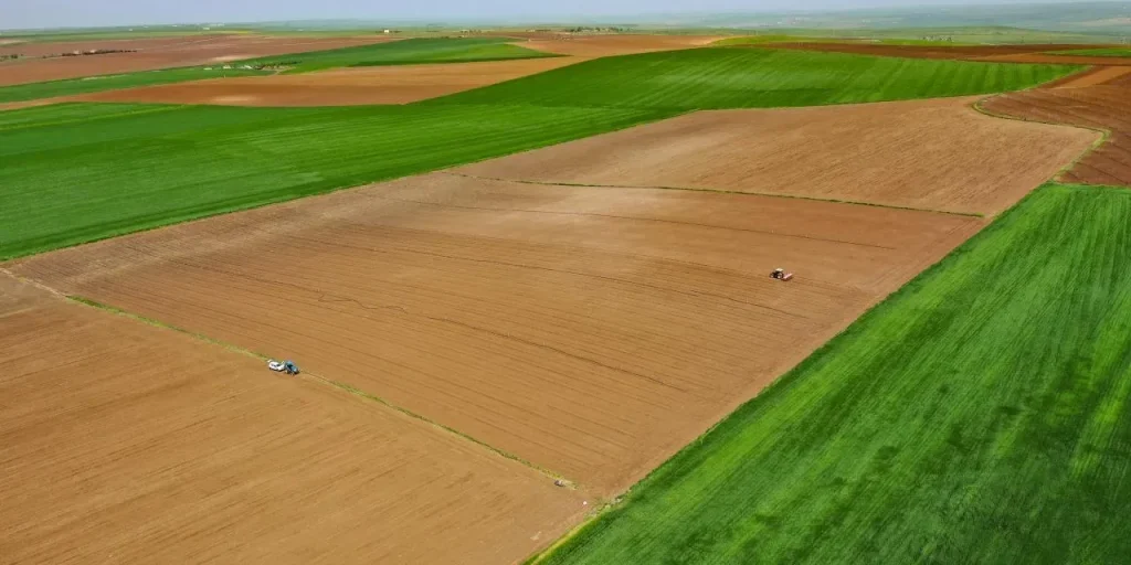 Compenso agricolo legato al rendimento del campo: nuove misure del TARSIM