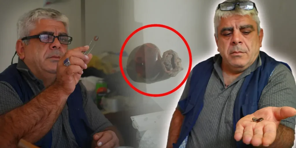 Richiesta di invio del testo originale per la traduzione e l'ottimizzazione SEO