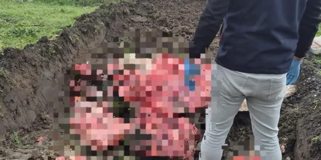 Sequestrata una tonnellata di prodotti animali senza documentazione a Ergene, Tekirdağ