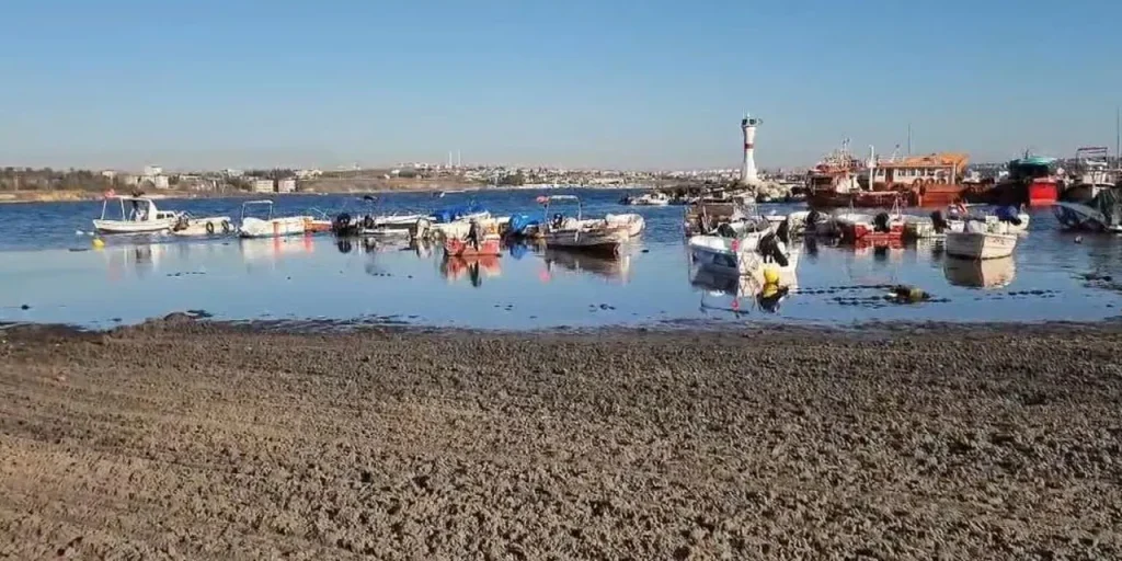 Abbassamento di 20 metri del livello del mare a Marmaraereğlisi: formazione di isole di sabbia